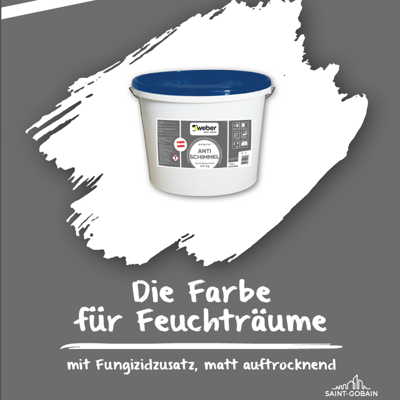 weberlor Antischimmel / 25kg